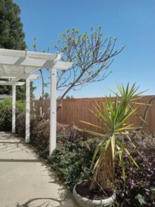 A durable chain-link fence surrounding a tennis court, installed by The Fence Company in Fresno, CA.