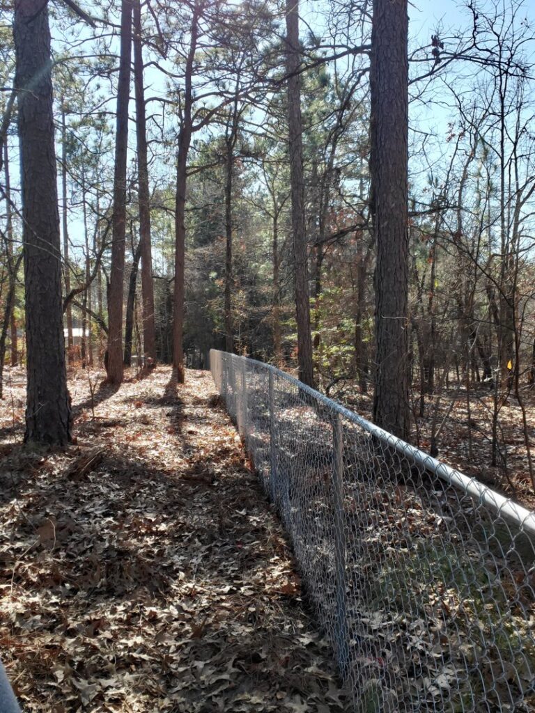 A chain-link fence installed along a property line in a wooded area by Fencingphd.nc in Fayetteville, NC.