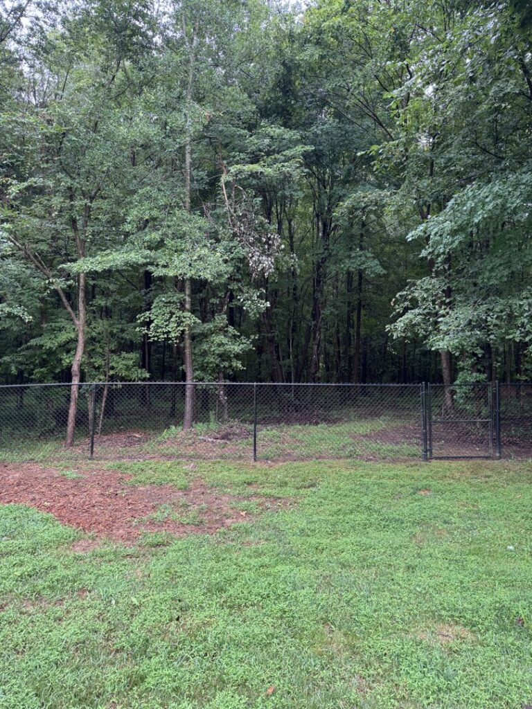 A chain-link fence installed along the edge of a wooded property by Align Fence Builders in Durham, NC.