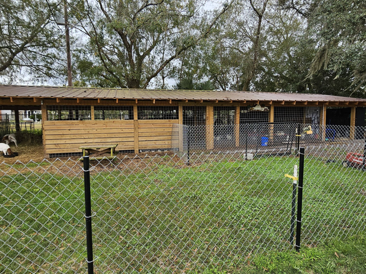 A chain-link fence in front of a wooden-sided animal shelter built by The Johnson Family Fencing in Tampa, FL.