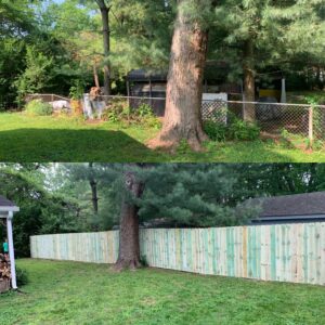 Before and after view of a chain-link fence replaced with a new wood privacy fence by Raatz Fence Company in Louisville, KY.