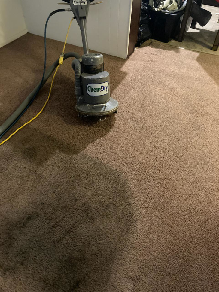 A Chem-Dry carpet cleaning machine actively cleaning a brown carpet by Chem-Dry of Springfield in Springfield, IL.