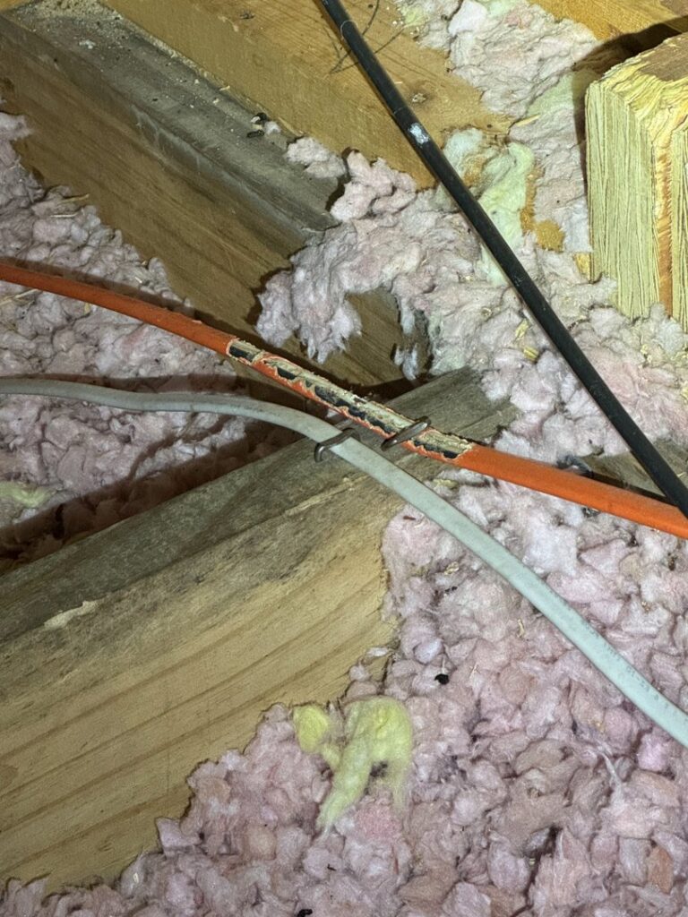 Chewed electrical wiring in an attic, a clear sign of rodent or wildlife damage requiring attention from Elite Wildlife Removal and Prevention in Nashville, TN.