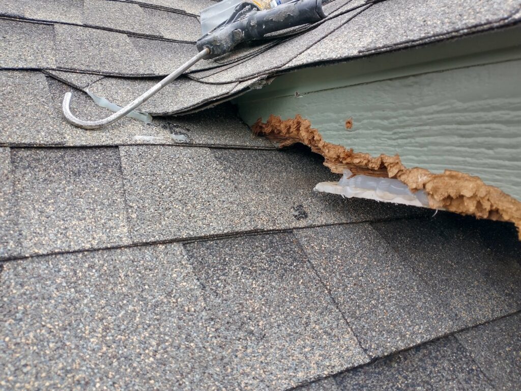Chewed roofline fascia with visible damage and sealant, indicating wildlife entry and exclusion work by Dallas Fort Worth Wildlife Control in Hurst, TX.