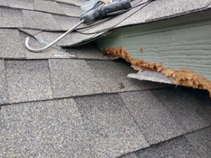 Chewed roofline fascia with visible damage and sealant, indicating wildlife entry and exclusion work by Dallas Fort Worth Wildlife Control in Hurst, TX.