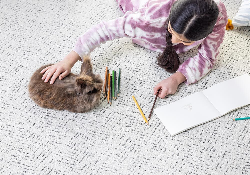 A child and a rabbit playing on a newly installed patterned carpet by Carpet Warehouse and Color Tile in Coeur d'Alene, ID.