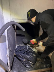 A Chimney Sweep Service LLC technician performing a thorough chimney cleanout in Brooklyn, NY.