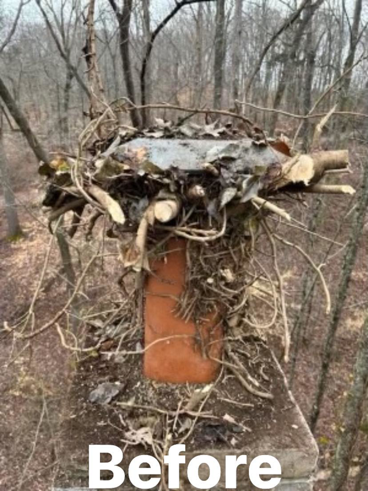 A chimney heavily clogged with branches and debris before a sweep service by The Chimney Guys in Jackson, TN.