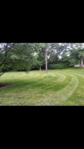 A well-maintained lawn featuring precise circular mowing patterns around trees by Brothers Lawn Care LLC in Florence, KY.