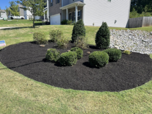 A circular mulched island with diverse plants in a green lawn by All Things Lawncare in Knoxville, TN.