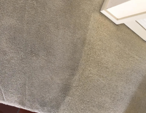 A clear comparison of clean and dirty carpet sections after service by Healthy Home Carpet Care in Houston, TX.