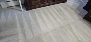 A clean bedroom carpet showing distinct cleaning lines from BEST Professionals Cleaning, LLC in Lancaster, PA