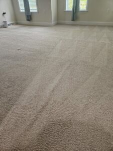 A clean bedroom carpet with visible cleaning lines, expertly done by Clean Technologies, LLC in Middletown, PA.
