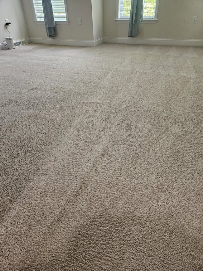 A clean bedroom carpet with visible cleaning lines, expertly done by Clean Technologies, LLC in Middletown, PA.