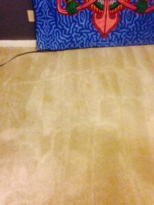 Clean beige carpet after professional cleaning, showing improved appearance by All Steamed Up Carpet/Upholstery Cleaning in Havana, FL