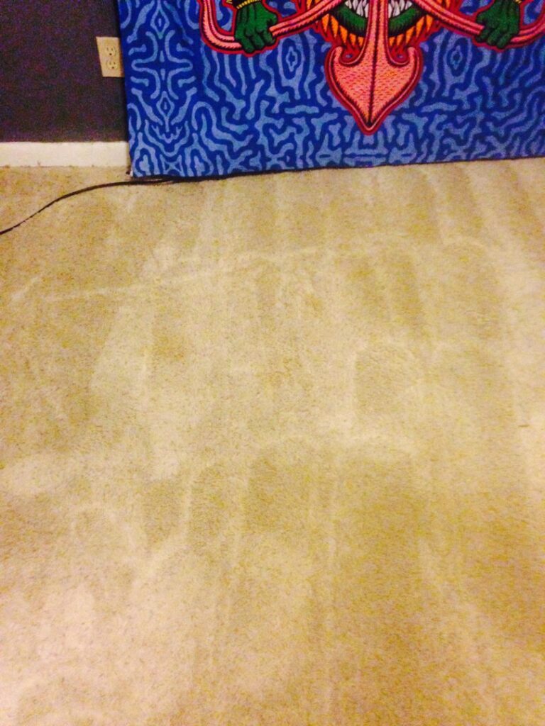 Clean beige carpet after professional cleaning, showing improved appearance by All Steamed Up Carpet/Upholstery Cleaning in Havana, FL