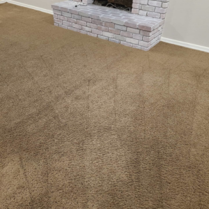 A clean brown carpet with visible grooming lines next to a fireplace, serviced by Epic Carpet and Tile Care in Phoenix, AZ
