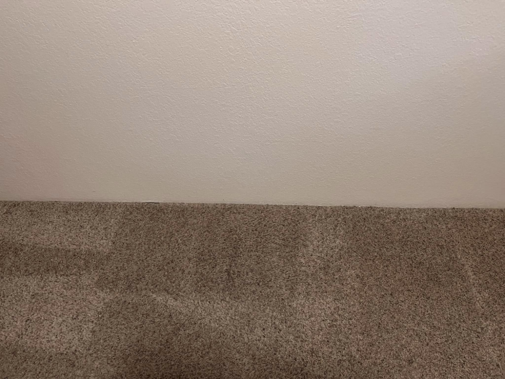 A close-up view of a clean brown carpet next to a white wall, showcasing work by Wilsons Complete Floor Care in Tucson, AZ