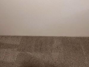 A close-up view of a clean brown carpet next to a white wall, showcasing work by Wilsons Complete Floor Care in Tucson, AZ
