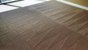 A clean brown carpet showing distinct cleaning patterns after service by Royal Carpet Care in West Babylon, NY.