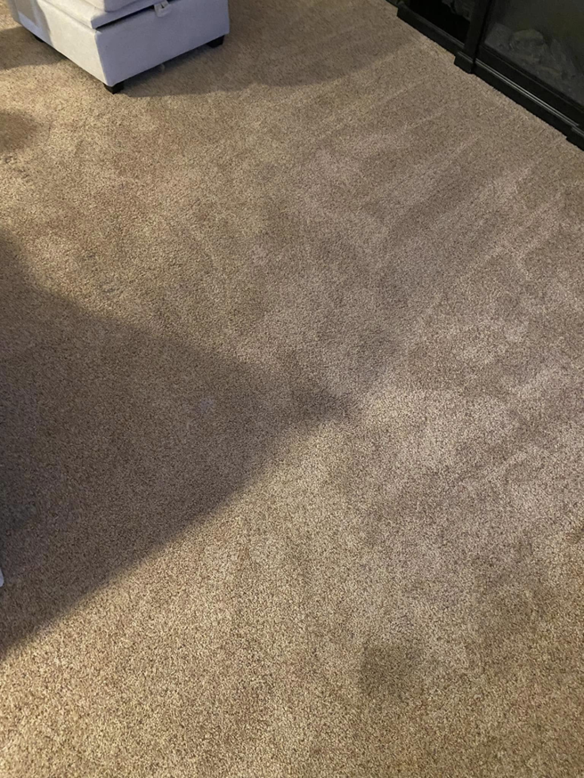 A clean brown carpet with distinct vacuum lines, demonstrating professional cleaning by Triple B Carpet Cleaning in Roseville, MI.