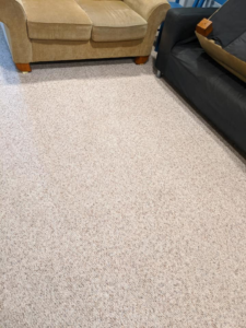 A clean, stain-free carpet after professional cleaning by Green Planet Carpet Cleaning in Bloomington, MN.