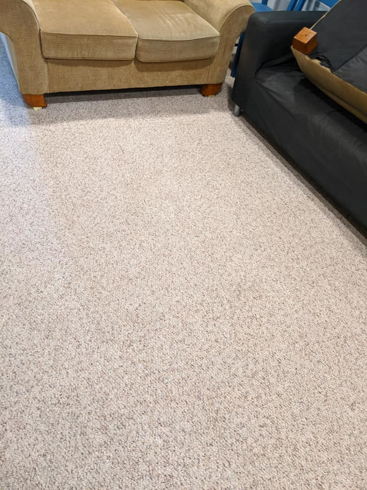 A clean, stain-free carpet after professional cleaning by Green Planet Carpet Cleaning in Bloomington, MN.