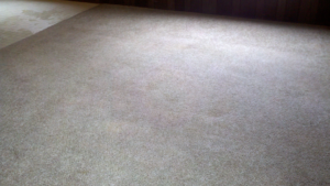 A light-colored carpet looking clean after professional carpet cleaning by The Carpet Medic in Suffolk, VA