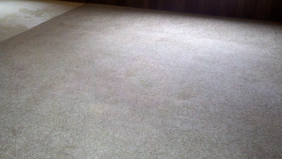 A light-colored carpet looking clean after professional carpet cleaning by The Carpet Medic in Suffolk, VA