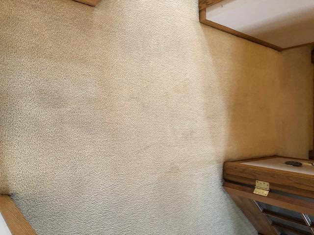 A clean carpet after a professional cleaning service from Level 8 Steam Cleaning & Restoration in West Fargo, ND.