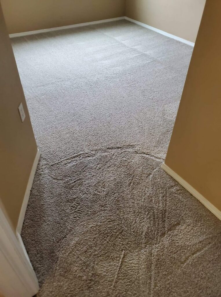 A clean, light brown carpet with visible cleaning lines after service by Maxi-Max Carpet Cleaning in Salem, OR