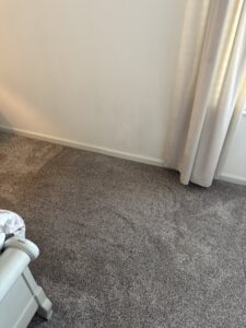 A freshly cleaned, light-colored carpet after professional service by Musser's Advanced Carpet Care in North Kansas City, MO.