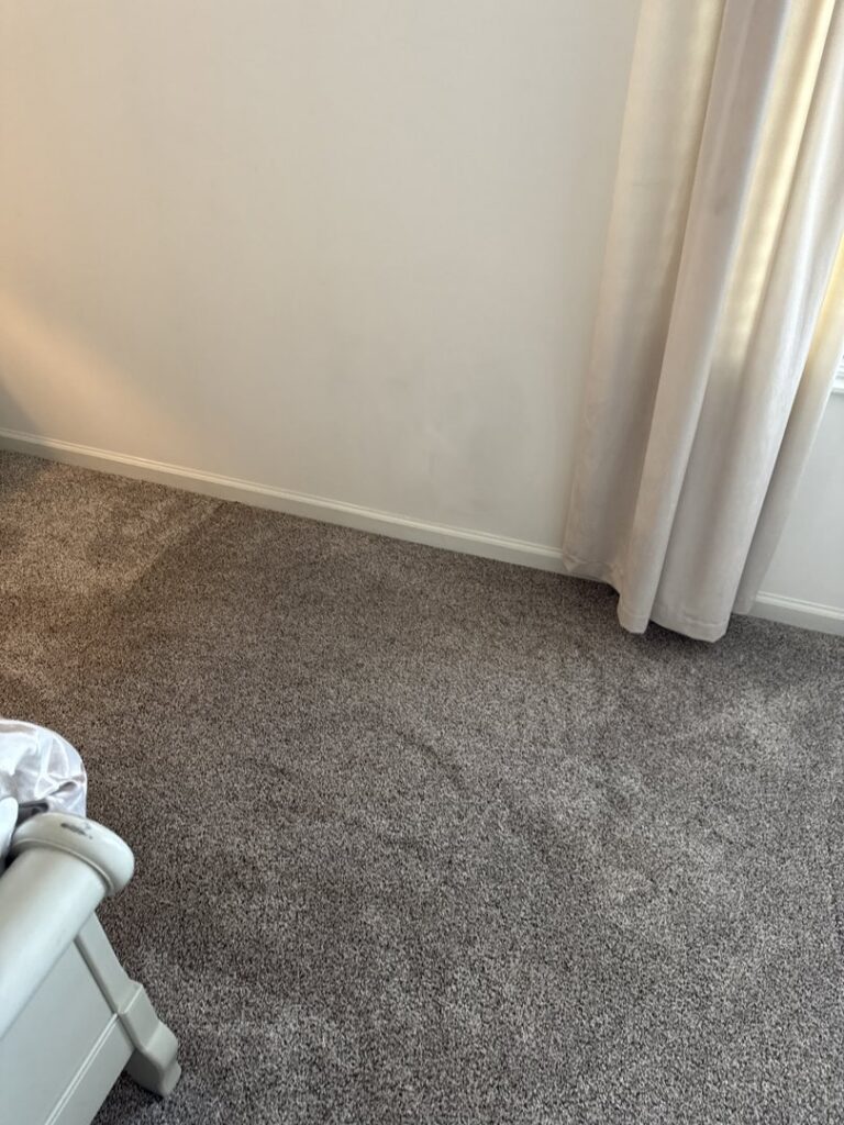 A freshly cleaned, light-colored carpet after professional service by Musser's Advanced Carpet Care in North Kansas City, MO.