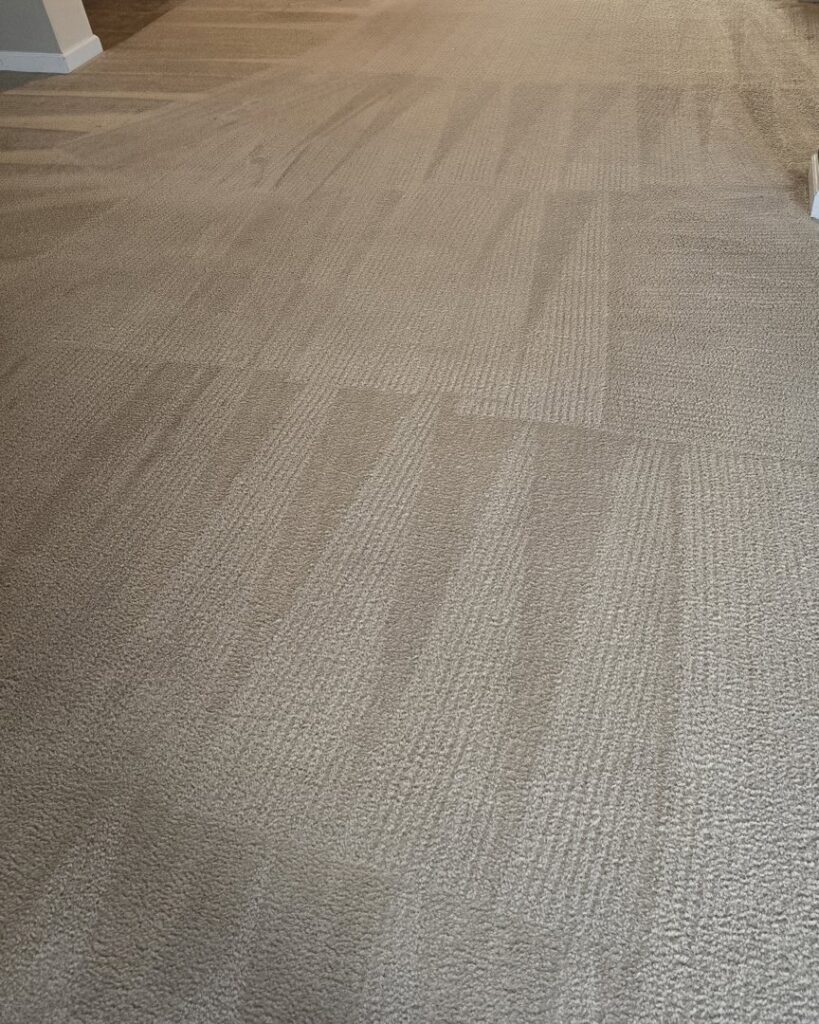 A clean carpet showing professional cleaning lines after service by PRIME CLEAN VA in Virginia Beach, VA.