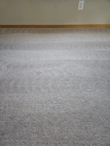 A freshly cleaned light-colored carpet showing a clear clean line after service by Quality Carpet Cleaning in Lewiston, ID.