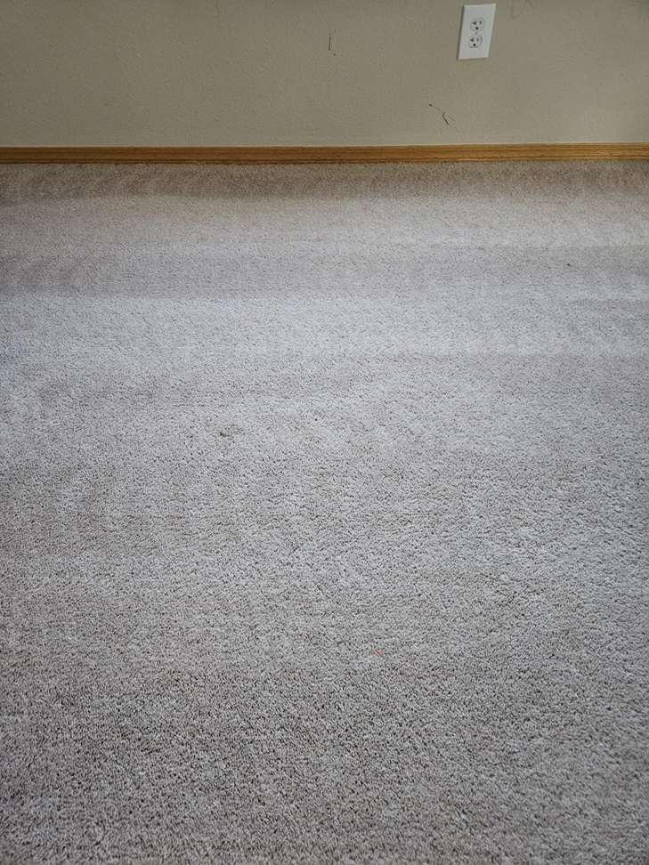 A freshly cleaned light-colored carpet showing a clear clean line after service by Quality Carpet Cleaning in Lewiston, ID.