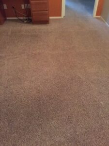 Freshly cleaned carpet after professional service by Revolution Carpet Cleaners in Chandler, AZ