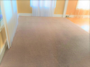 A freshly cleaned carpet in a room after service by Rochester Cleanpro in Rochester, NY.