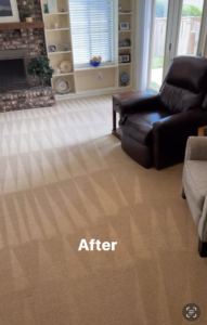 A freshly cleaned carpet with distinct cleaning patterns after service by Top Dog Carpet Cleaning in Belton, MO.