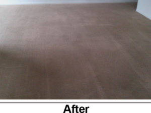 A clean carpet after professional cleaning by Sterling SYLVA Sisters Cleaning Services in Kapolei, HI.