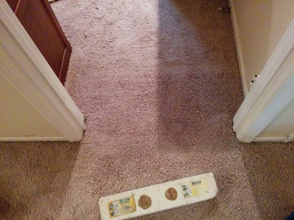 A clean, light-colored carpet at a doorway with a tool on the floor, indicating professional work by All Dimension Floor Care in Lenexa, KS.
