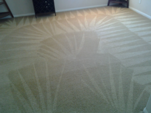 A clean carpet with beautiful fan-like patterns, showcasing professional work by Scrub Buds Carpet Cleaning in Las Vegas, NV.