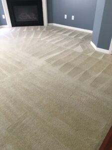 A clean carpet with distinct cleaning patterns in a living room with a fireplace, done by All Out Carpet Cleaning in Kailua Kona, HI.