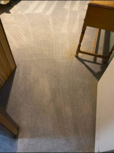 A freshly cleaned carpeted floor with visible cleaning lines by Spectrum Cleaning & Restoration in Medford, OR