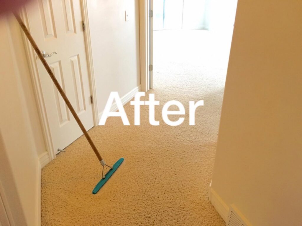 A freshly cleaned and bright carpeted hallway after professional service by Ogden Carpet Cleaners in Ogden, UT.
