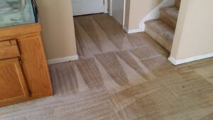 A freshly cleaned carpeted hallway and entryway with clear cleaning lines by All Out Carpet Cleaning in Kailua Kona, HI.