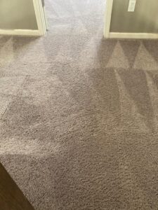 A clean carpeted hallway showing fresh cleaning lines from Master Green Cleaning in Overland Park, KS.