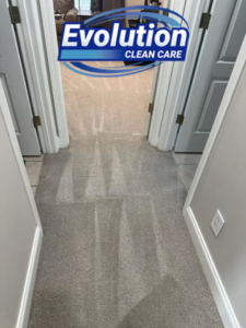 A clean carpeted hallway in a residential home by Evolution Clean Care in Knoxville, TN