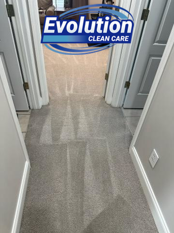 A clean carpeted hallway in a residential home by Evolution Clean Care in Knoxville, TN