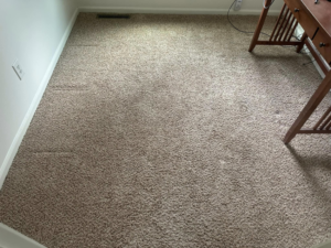 Clean carpet in a home office with a wooden desk, showcasing work by The Gold Standard Carpet Cleaning in Kansas City, MO.